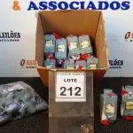 LOTE 212 - 01 LOTE COM GRANDE QUANTIDADE DE INTERRUPTORES E ACESSÓRIO. (NO ESTADO) ATENÇÃO! FAZER A VISITAÇÃO ANTES DE ARREMATAR, NÃO SABEMOS SE FUNCIONA, LEILÃO NÃO TEM GARANTIA E NEM DEVOLUÇÃO, SUJEITO A POSSÍVEIS AVARIAS VISÍVEIS/OCULTAS E/OU AUSÊNCIA DE COMPONENTES.