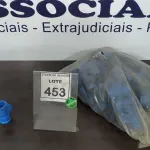 LOTE 453 - 01 LOTE COM GRANDE QUANTIDADE DE TÊ AZUL 32 3/4. (NO ESTADO) ATENÇÃO! FAZER A VISITAÇÃO ANTES DE ARREMATAR, NÃO SABEMOS SE FUNCIONA. LEILÃO NÃO TEM GARANTIA E NEM DEVOLUÇÃO, SUJEITO A POSSÍVEIS AVARIAS VISÍVEIS/OCULTAS E/OU AUSÊNCIA DE COMPONENTES.