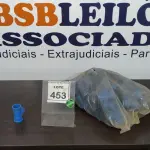 LOTE 453 - 01 LOTE COM GRANDE QUANTIDADE DE TÊ AZUL 32 3/4. (NO ESTADO) ATENÇÃO! FAZER A VISITAÇÃO ANTES DE ARREMATAR, NÃO SABEMOS SE FUNCIONA. LEILÃO NÃO TEM GARANTIA E NEM DEVOLUÇÃO, SUJEITO A POSSÍVEIS AVARIAS VISÍVEIS/OCULTAS E/OU AUSÊNCIA DE COMPONENTES.