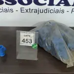 LOTE 453 - 01 LOTE COM GRANDE QUANTIDADE DE TÊ AZUL 32 3/4. (NO ESTADO) ATENÇÃO! FAZER A VISITAÇÃO ANTES DE ARREMATAR, NÃO SABEMOS SE FUNCIONA. LEILÃO NÃO TEM GARANTIA E NEM DEVOLUÇÃO, SUJEITO A POSSÍVEIS AVARIAS VISÍVEIS/OCULTAS E/OU AUSÊNCIA DE COMPONENTES.