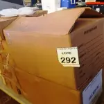 LOTE 292 - 01 LOTE COM GRANDE QUANTIDADE DE ESTOJOS TRANSPARENTES PARA ARMAZENAMENTO DE CDS E GRANDE QUANTIDADE DE SUPORTES PARA PASTAS. (NO ESTADO) ATENÇÃO! FAZER A VISITAÇÃO ANTES DE ARREMATAR, NÃO SABEMOS SE FUNCIONA, LEILÃO NÃO TEM GARANTIA E NEM DEVOLUÇÃO, SUJEITO A POSSÍVEIS AVARIAS VISÍVEIS/OCULTAS E/OU AUSÊNCIA DE COMPONENTES.
