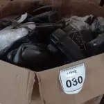 LOTE 030 - 50 APARELHOS TELEFÔNICOS. (NO ESTADO EM QUE SE ENCONTRA. SUJEITO A AVARIAS OCULTAS/VISÍVEIS.)
