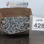 LOTE 428 - 01 LOTE COM GRANDE QUANTIDADE DE PARAFUSO FRANCÊS COM PORCAS. (NO ESTADO) ATENÇÃO! FAZER A VISITAÇÃO ANTES DE ARREMATAR, NÃO SABEMOS SE FUNCIONA, LEILÃO NÃO TEM GARANTIA E NEM DEVOLUÇÃO, SUJEITO A POSSÍVEIS AVARIAS VISÍVEIS/OCULTAS E/OU AUSÊNCIA DE COMPONENTES.