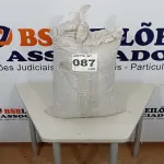 LOTE 087 - 01 SACO SEMENTE DE GIRASSOL (NO ESTADO, NÃO SABEMOS SE FUNCIONA. LEILÃO NÃO TEM GARANTIA E NEM DEVOLUÇÃO, SUJEITO A POSSÍVEIS AVARIAS VISÍVEIS/OCULTAS E/OU AUSÊNCIA DE COMPONENTES)