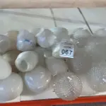 01 LOTE COM VÁRIAS CÚPULAS DE LUMINÁRIA DE MATERIAIS E MODELOS DIVERSOS. (NO ESTADO) ATENÇÃO! FAZER A VISITAÇÃO ANTES DE ARREMATAR, NÃO SABEMOS SE FUNCIONA, LEILÃO NÃO TEM GARANTIA E NEM DEVOLUÇÃO, SUJEITO A POSSÍVEIS AVARIAS VISÍVEIS/OCULTAS E/OU AUSÊNCIA DE COMPONENTES.