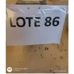 RELÓGIO DATADOR NUMERADOR ELETRONICO COM CARIMBO AUTOMATICO DE DIA, MÊS, MINUTO E ANO COM 3 DÍGITOS E NUMERADOR DE SÉRIE COM 06 ALGARISMOS; (NO ESTADO DE CONSERVAÇÃO QUE SE ENCONTRA)