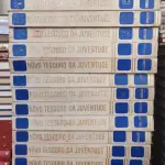 01 COLEÇÃO - NOVO TESOURO DA JUVENTUDE 18 VOLUMES. (NO ESTADO) ATENÇÃO! FAZER A VISITAÇÃO ANTES DE ARREMATAR, NÃO SABEMOS SE FUNCIONA, LEILÃO NÃO TEM GARANTIA E NEM DEVOLUÇÃO, SUJEITO A POSSÍVEIS AVARIAS VISÍVEIS/OCULTAS E/OU AUSÊNCIA DE COMPONENTES.