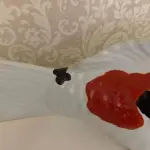 01 LOTE 03 CARPAS IMPORTADAS DE CERÂMICA VITRIFICADA, ADQUIRIDOS EM BALI. MAIOR MED. 35 CM DE LARGURA. UMA DELAS APRESENTA DISCRETO BICADO. (NO ESTADO) ATENÇÃO! FAZER A VISITAÇÃO ANTES DE ARREMATAR, NÃO SABEMOS SE FUNCIONA, LEILÃO NÃO TEM GARANTIA E NEM DEVOLUÇÃO, SUJEITO A POSSÍVEIS AVARIAS VISÍVEIS/OCULTAS E/OU AUSÊNCIA DE COMPONENTES.