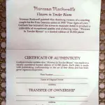 01 RARO E GRANDE PRATO ASSINADO POR NORMAN ROCKWELL, COM 26,50 CM DE DIÂMETRO EDIÇÃO LIMITADA, COM CERTIFICADO DE AUTENTICIDADE EM TONS QUENTES DE MARROM E AMARELO SUAVE, CAPTURA UM MOMENTO ATEMPORAL DE AMOR E COMPROMISSO. A CENA MOSTRA UM CASAL ELEGANTEMENTE VESTIDO ASSINANDO SUA CERTIDÃO DE CASAMENTO. UM CELEBRANTE, SENTADO PRÓXIMO, OBSERVA O MOMENTO COM UMA EXPRESSÃO GENTIL, ADICIONANDO UM TOQUE DE SERIEDADE E TRADIÇÃO À COMPOSIÇÃO. O PRATO  COM ELEGANTES DETALHES DOURADOS NAS BORDAS, REALÇANDO SEU TOQUE CLÁSSICO E SOFISTICADO.UMA BELA REPRESENTAÇÃO DA CAPACIDADE DE ROCKWELL DE CAPTURAR MOMENTOS ÍNTIMOS DA VIDA COM CHARME E DETALHES. ITEM COMPRADO EM GARAGEM DE ANTIGUIDADES NOS EUA.SUPORTE PARA PRATO NÃO INCLUÍDO NESTA VENDA.SUPORTE PARA PRATO NÃO INCLUÍDO NESTA VENDA. (NO ESTADO) ATENÇÃO! FAZER A VISITAÇÃO ANTES DE ARREMATAR, NÃO SABEMOS SE FUNCIONA, LEILÃO NÃO TEM GARANTIA E NEM DEVOLUÇÃO, SUJEITO A POSSÍVEIS AVARIAS VISÍVEIS/OCULTAS E/OU AUSÊNCIA DE COMPONENTES.