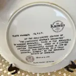 01 PRATO NORMAN ROCKWELL.UM PEDAÇO DA HISTÓRIA AMERICANA COM ESTE PRATO DE COLECIONADOR DE  EDIÇÃO LIMITADA, COM UMA BELA ILUSTRAÇÃO DE NORMAN ROCKWELL DE 1979. ESTE PRATO RETRATA LIGHTHOUSE KEEPER’S DAUGHTER "A FILHA DO FAROLEIRO" E É FEITO NOS ESTADOS UNIDOS. PERFEITO PARA FÃS DA ICÔNICA OBRA DE ROCKWELL, ESTE PRATO DE COLECIONADOR É UM ITEM ESSENCIAL PARA QUALQUER COLEÇÃO. ADICIONE ESTA PEÇA DESLUMBRANTE À SUA COLEÇÃO HOJE MESMO E ADMIRE OS DETALHES COMPLEXOS E AS BELAS CORES QUE FAZEM DESTE PRATO UMA OBRA DE ARTE. COM CERTIFICADO DE AUTENTICIDADE. ITEM COMPRADO E GARAGENS DE ANTIGUIDADES NOS EUA. SUPORTE PARA PRATO NÃO INCLUÍDO NESTA VENDA. (NO ESTADO) ATENÇÃO! FAZER A VISITAÇÃO ANTES DE ARREMATAR, NÃO SABEMOS SE FUNCIONA, LEILÃO NÃO TEM GARANTIA E NEM DEVOLUÇÃO, SUJEITO A POSSÍVEIS AVARIAS VISÍVEIS/OCULTAS E/OU AUSÊNCIA DE COMPONENTES.