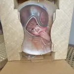 01 PRATO DE COLECIONADOR "FAIRMONT PORCELAIN FIRST GAME" DE MARILYN ZAPP, VINTAGE DE 1983, "NOSTALGIC MEMORIES" SEGUNDA EDIÇÃO EDIÇÃO LIMITADA: 12.500 UNIDADES LANÇADAS APENAS 10.000 NOS EUA E 2,500 NO CANADA PELA EMPRESA BRENTWOOD FINE ARTS NA DÉCADA DE 80. PRATO DE NUMERO 226.EM EXCELENTE ESTADO, POSSUI A CAIXA ORIGINAL, DOCUMENTO. O SUPORTE DO PRATO NÃO ESTÁ INCLUÍDO. PEÇA COMPRADA EM GARAGEM DE ANTIGUIDADES NOS EUA. (NO ESTADO) ATENÇÃO! FAZER A VISITAÇÃO ANTES DE ARREMATAR, NÃO SABEMOS SE FUNCIONA, LEILÃO NÃO TEM GARANTIA E NEM DEVOLUÇÃO, SUJEITO A POSSÍVEIS AVARIAS VISÍVEIS/OCULTAS E/OU AUSÊNCIA DE COMPONENTES. 