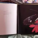 01 RARO LIVRO FLYING FLOWERS RICK SAMMON. (NO ESTADO) ATENÇÃO! FAZER A VISITAÇÃO ANTES DE ARREMATAR, NÃO SABEMOS SE FUNCIONA, LEILÃO NÃO TEM GARANTIA E NEM DEVOLUÇÃO, SUJEITO A POSSÍVEIS AVARIAS VISÍVEIS/OCULTAS E/OU AUSÊNCIA DE COMPONENTES.