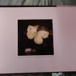 01 RARO LIVRO FLYING FLOWERS RICK SAMMON. (NO ESTADO) ATENÇÃO! FAZER A VISITAÇÃO ANTES DE ARREMATAR, NÃO SABEMOS SE FUNCIONA, LEILÃO NÃO TEM GARANTIA E NEM DEVOLUÇÃO, SUJEITO A POSSÍVEIS AVARIAS VISÍVEIS/OCULTAS E/OU AUSÊNCIA DE COMPONENTES.