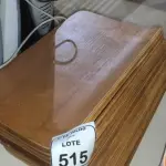 20 PLACAS DE MADEIRA. (NO ESTADO) ATENÇÃO! FAZER A VISITAÇÃO ANTES DE ARREMATAR, NÃO SABEMOS SE FUNCIONA, LEILÃO NÃO TEM GARANTIA E NEM DEVOLUÇÃO, SUJEITO A POSSÍVEIS AVARIAS VISÍVEIS/OCULTAS E/OU AUSÊNCIA DE COMPONENTES.