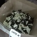  01 LOTE COM PEÇAS PLASTICAS PARA ACABAMENTOS.  (NO ESTADO, NÃO SABEMOS SE FUNCIONA. LEILÃO NÃO TEM GARANTIA E NEM DEVOLUÇÃO, SUJEITO A POSSÍVEIS AVARIAS VISÍVEIS/OCULTAS E/OU AUSÊNCIA DE COMPONENTES)