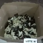  01 LOTE COM PEÇAS PLASTICAS PARA ACABAMENTOS.  (NO ESTADO, NÃO SABEMOS SE FUNCIONA. LEILÃO NÃO TEM GARANTIA E NEM DEVOLUÇÃO, SUJEITO A POSSÍVEIS AVARIAS VISÍVEIS/OCULTAS E/OU AUSÊNCIA DE COMPONENTES)