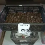 01 LOTE COM INTERRUPTORES E ACABAMENTOS.  (NO ESTADO, NÃO SABEMOS SE FUNCIONA. LEILÃO NÃO TEM GARANTIA E NEM DEVOLUÇÃO, SUJEITO A POSSÍVEIS AVARIAS VISÍVEIS/OCULTAS E/OU AUSÊNCIA DE COMPONENTES)