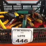 01 CAIXA COM VÁRIOS ALICATES DE MARCAS E MODELOS DIVERSOS. (NO ESTADO) ATENÇÃO! FAZER A VISITAÇÃO ANTES DE ARREMATAR, NÃO SABEMOS SE FUNCIONA, LEILÃO NÃO TEM GARANTIA E NEM DEVOLUÇÃO, SUJEITO A POSSÍVEIS AVARIAS VISÍVEIS/OCULTAS E/OU AUSÊNCIA DE COMPONENTES.