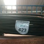 02 ROLOS DE APROXIMADAMENTE 37M DE FIO ISOLADO EM ALUMÍNIO PRETO 150MM. (NO ESTADO) ATENÇÃO! FAZER A VISITAÇÃO ANTES DE ARREMATAR, NÃO SABEMOS SE FUNCIONA, LEILÃO NÃO TEM GARANTIA E NEM DEVOLUÇÃO, SUJEITO A POSSÍVEIS AVARIAS VISÍVEIS/OCULTAS E/OU AUSÊNCIA DE COMPONENTES.