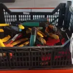 01 CAIXA COM VÁRIOS ALICATES DE MARCAS E MODELOS DIVERSOS. (NO ESTADO) ATENÇÃO! FAZER A VISITAÇÃO ANTES DE ARREMATAR, NÃO SABEMOS SE FUNCIONA, LEILÃO NÃO TEM GARANTIA E NEM DEVOLUÇÃO, SUJEITO A POSSÍVEIS AVARIAS VISÍVEIS/OCULTAS E/OU AUSÊNCIA DE COMPONENTES.