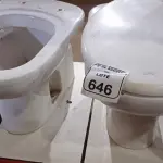 02 VASOS SANITÁRIOS. (NO ESTADO) ATENÇÃO! FAZER A VISITAÇÃO ANTES DE ARREMATAR, NÃO SABEMOS SE FUNCIONA, LEILÃO NÃO TEM GARANTIA E NEM DEVOLUÇÃO, SUJEITO A POSSÍVEIS AVARIAS VISÍVEIS/OCULTAS E/OU AUSÊNCIA DE COMPONENTES.