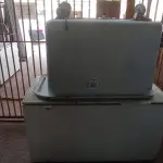 01 FREEZER HORIZONTAL 220V MARCA ELECTROLUX E 01 TANQUE COM RODINHAS. (NO ESTADO) ATENÇÃO! FAZER A VISITAÇÃO ANTES DE ARREMATAR, NÃO SABEMOS SE FUNCIONA, LEILÃO NÃO TEM GARANTIA E NEM DEVOLUÇÃO, SUJEITO A POSSÍVEIS AVARIAS VISÍVEIS/OCULTAS E/OU AUSÊNCIA DE COMPONENTES.