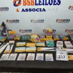 01 LOTE COM UTENSÍLIOS DE HIGIENE E CUIDADOS PESSOAIS DIVERSOS. (NO ESTADO) ATENÇÃO! FAZER A VISITAÇÃO ANTES DE ARREMATAR, NÃO SABEMOS SE FUNCIONA, LEILÃO NÃO TEM GARANTIA E NEM DEVOLUÇÃO, SUJEITO A POSSÍVEIS AVARIAS VISÍVEIS/OCULTAS E/OU AUSÊNCIA DE COMPONENTES.