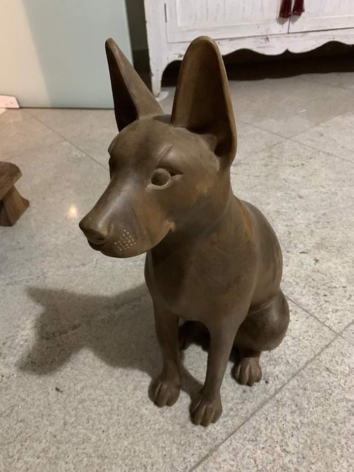 Foto 1