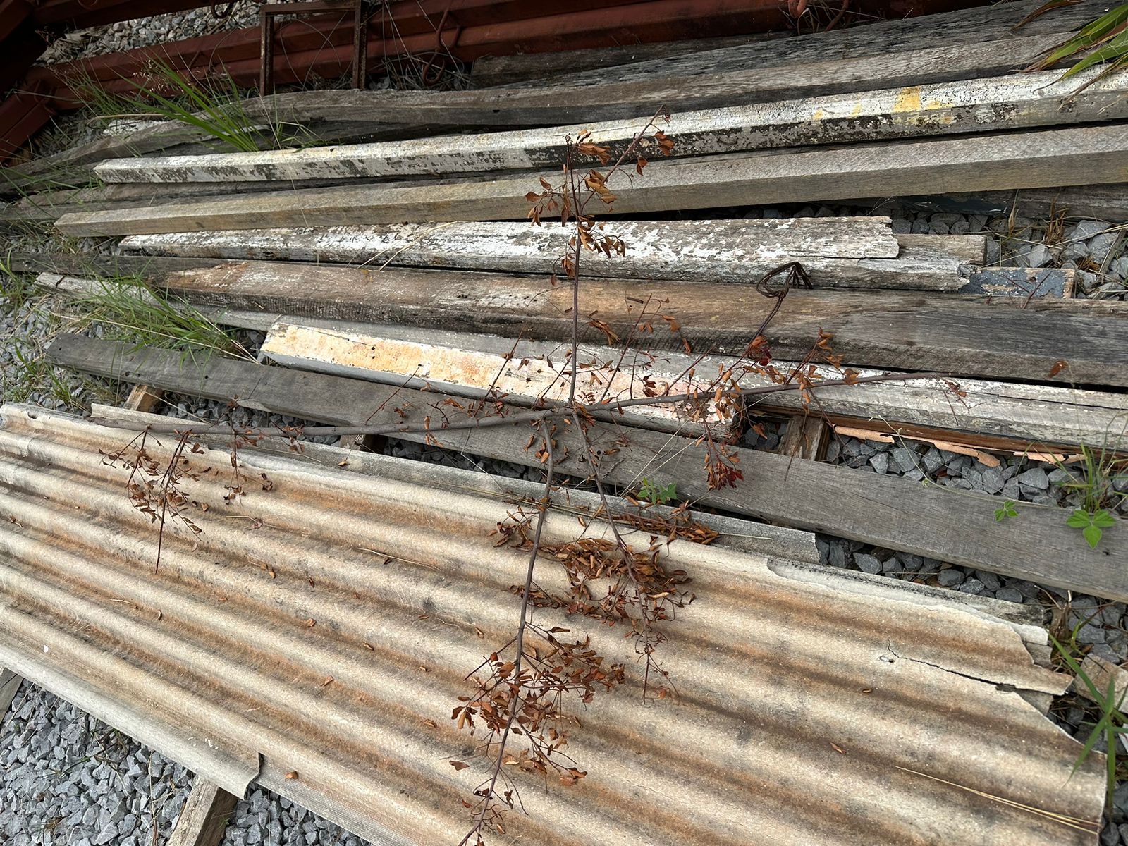 Foto 2
