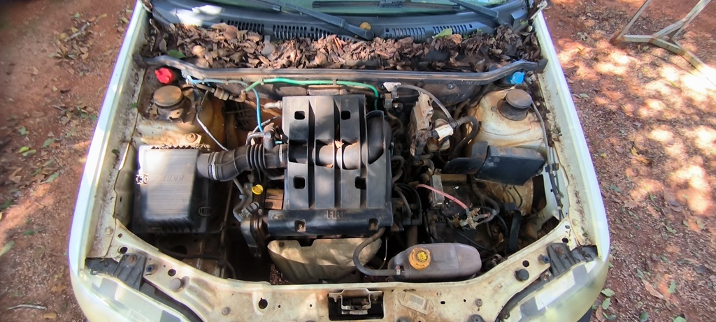Foto 5