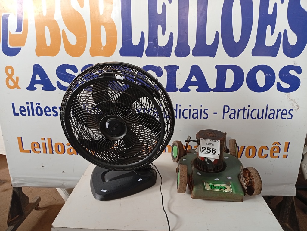 Foto 1