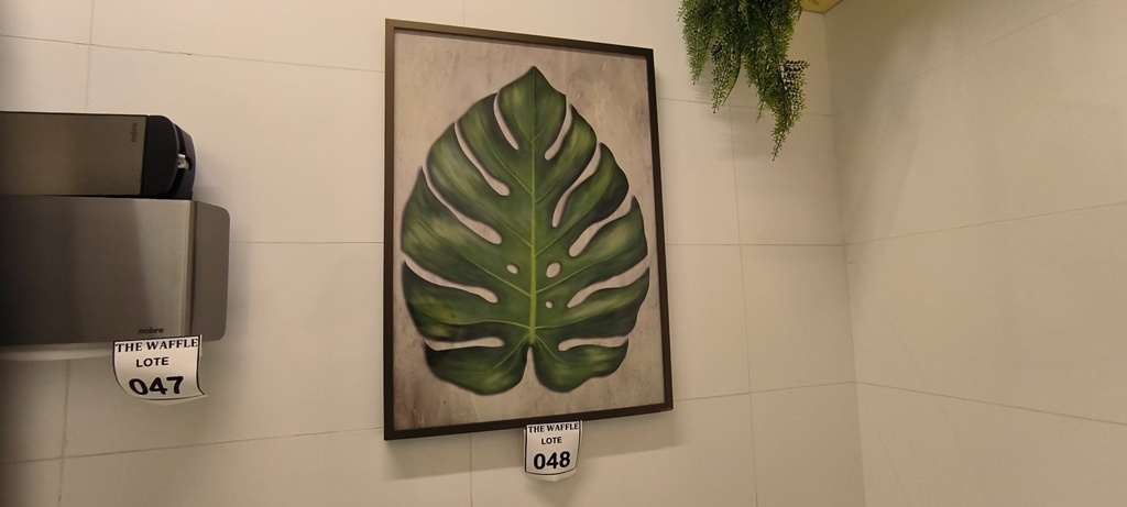 Foto 1