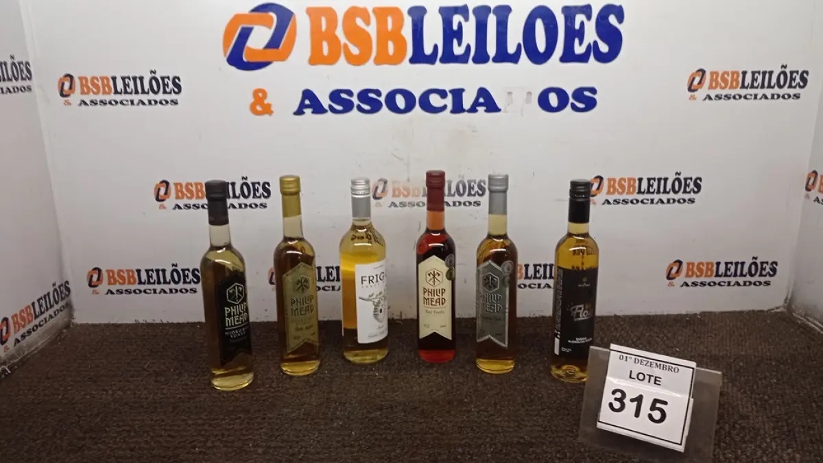 1º LEILÃO DE DEZEMBRO 2025