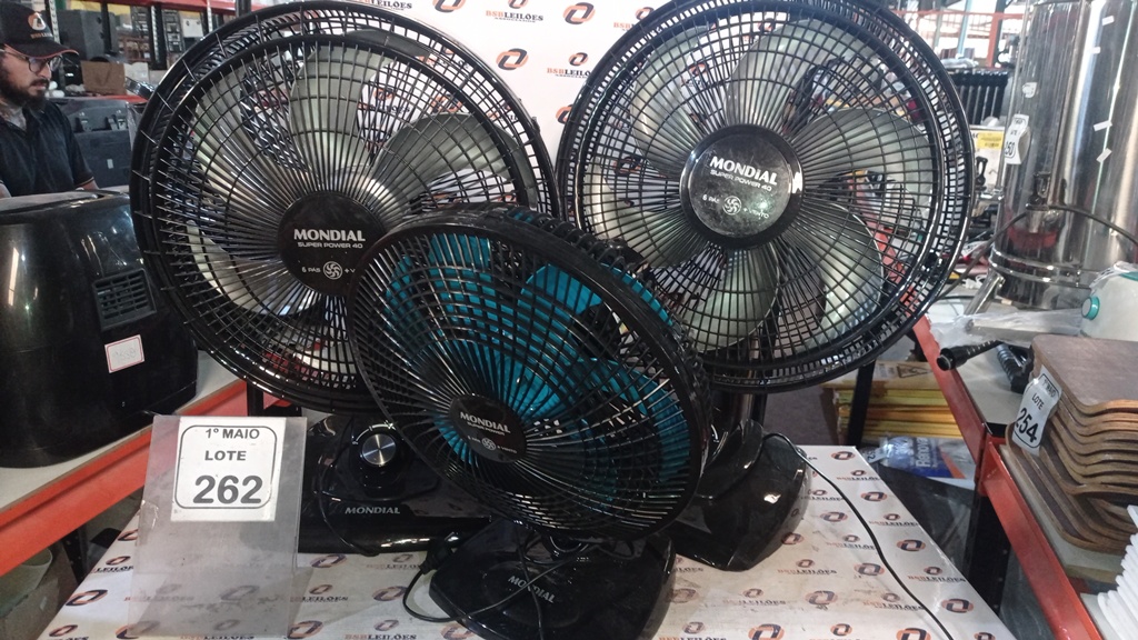 Foto 2